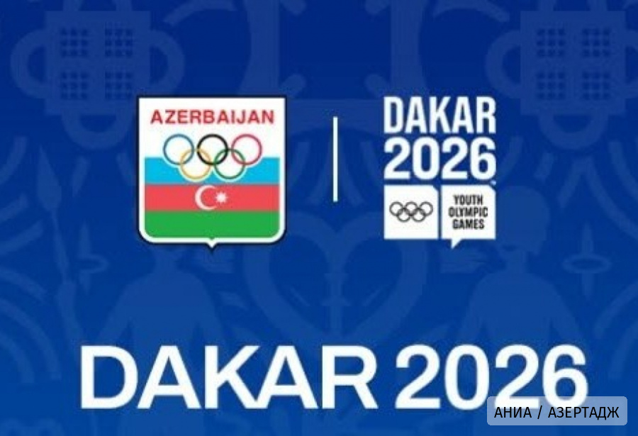 Азербайджан будет представлен в 8 видах спорта на Юношеских летних Олимпийских играх