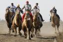 Участники забега на верблюдах  в Астраханской области