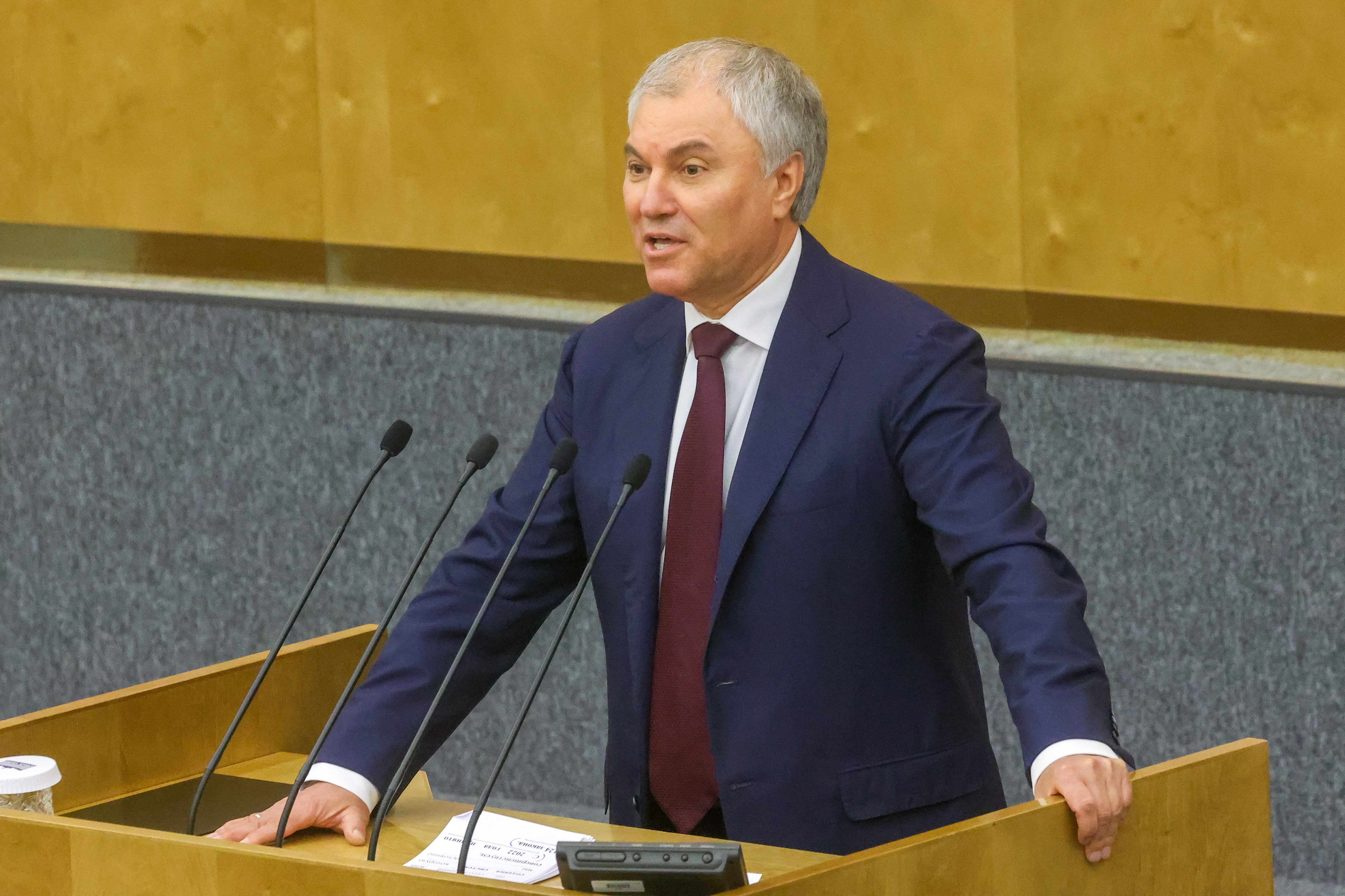 Володин отметил снижение потока миграции в Россию