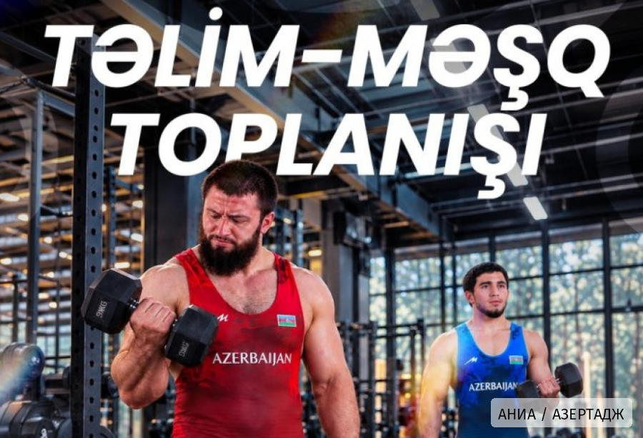 Азербайджанские борцы вольного стиля готовятся к чемпионату мира 
