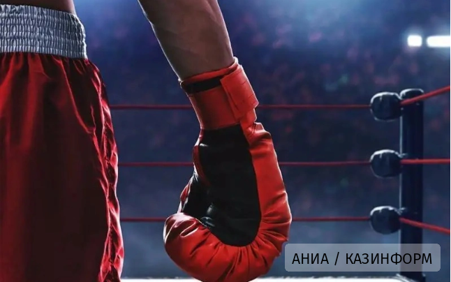 Чемпион мира из Казахстана впервые вошел в рейтинг WBC