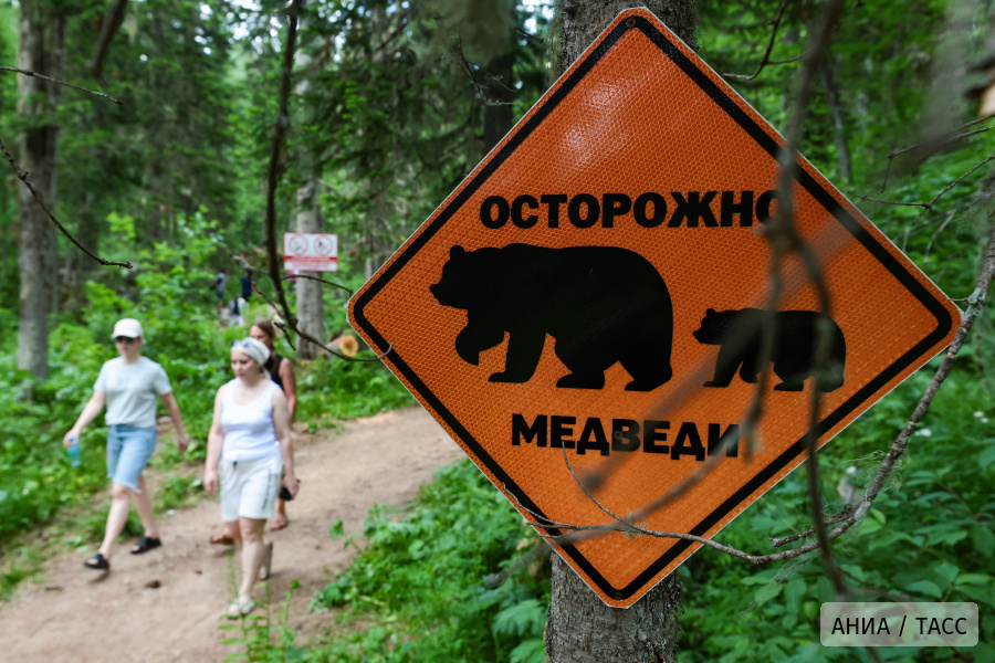 "Лаборатория Касперского" рассказала, как сделать путешествие безопаснее